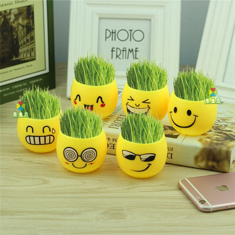 NEW Mini Novel Ceramic Porcelain Emoji Bonsai Grass Doll Hair Man Plant Home Decoration DIY  Figurines